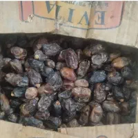 خرما کارتن موزی