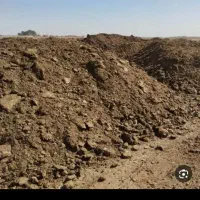 فروش کوت حیوانی درجه یک با نیسان تحویل سر زمین