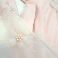 شومیز شاین مجلسی|لباس|قم, پردیسان|دیوار