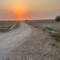 فروش ویژه زمین شهرک|فروش دفتر صنعتی، کشاورزی، تجاری|دلوار, |دیوار