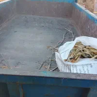 تریلی جفت چرخ|قطعات یدکی و لوازم جانبی|ویسیان, |دیوار