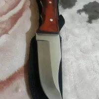 دو عدد کارد شکاری آمریکایی|کوهنوردی و کمپینگ|اهواز, طالقانی|دیوار