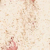 برنج طارم هاشمی درجه ۱|خوردنی و آشامیدنی|محمودآباد, |دیوار