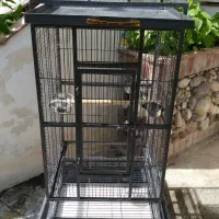 قفس بزرگ کاسکو مناسب برای تمام طوطی سانان