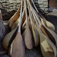 دوتار سازی نوری