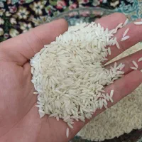 برنج هاشمی صدری(زرد دم) گیلان|خوردنی و آشامیدنی|تهران, بهداشت|دیوار