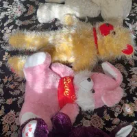 خرس پشمی|اسباببازی|نهاوند, |دیوار