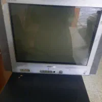 تلویزیون