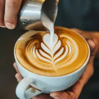 جویای کار(باریستا)