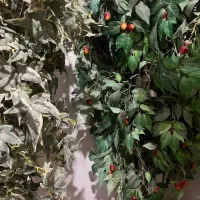 درخت|گل مصنوعی|بهبهان, |دیوار