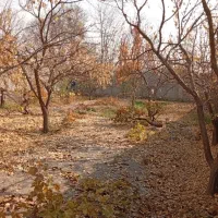 زمین چهاردیواری طلایی واقعی