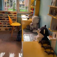 صندلی|صندلی و نیمکت|تهران, استخر|دیوار