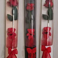 ولتناینی جذاب