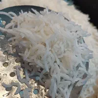 برنج دل بهار دانه بلند تضمینی