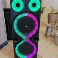 اسپیکر ۸۰ سانتی دو میکروفون