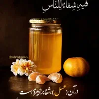 عسل طبیعی مرغوب|خوردنی و آشامیدنی|قم, علی آباد سعدگان|دیوار