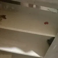 ویترین مغازه|بوفه، ویترین، کنسول|یزد, |دیوار