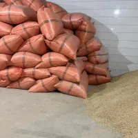 جو و کاه سفیدویونجه|خدمات باغبانی و درختکاری|مرودشت, تخت جمشید|دیوار