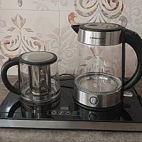 چایساز مارک معروف همیلتون