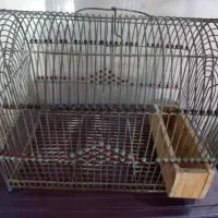 یک قفس سره