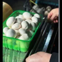شراکت