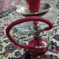 وسایل فروشی|گل و گیاه طبیعی|چناران, |دیوار