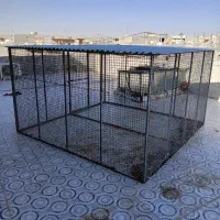 قفس خیلی بزرگ شبانکاره