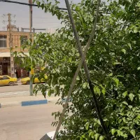 یه واحد کامل جهت مطب،دفتروکالت،دفتر بیمه و