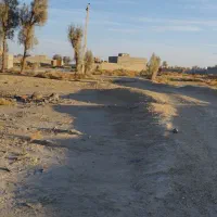 یک هکتار زمین سند دار با مجوز گلخانه آب و برق