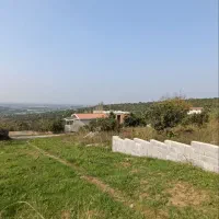 زمین باغ ویودار بزچفت بابلکنار|فروش زمین و ملک کلنگی|بابل, |دیوار