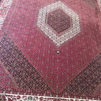 فرش افشار|فرش|همدان, |دیوار
