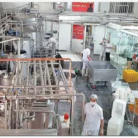 استخدام مسئول دفتر و کارشناس فروش در لبنیات دلیران