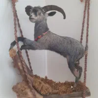 مجسمه خاص|مجسمه، تندیس، ماکت|سبزوار, ولیعصر (نجار آباد)|دیوار