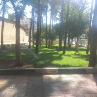 هرس کاشت سم پاشی کود دهی چمن زنی