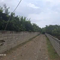 فروش باغ در بابل