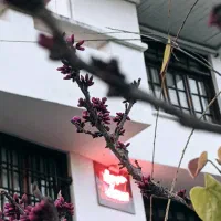 استخدام باریستا