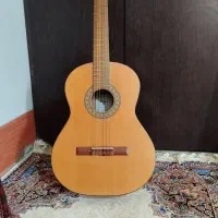 گیتار پارسی