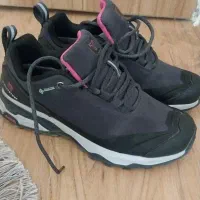 کفش اسپرت نو سایز37|کیف، کفش، کمربند|پرند, فاز ۵|دیوار