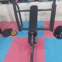 باشگاه بدن سازی