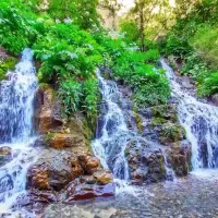 گردش در طبیعت جاده چالوس و هفت چشمه