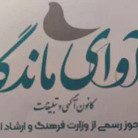 طراح و ادیتور