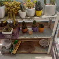 استند گالوانیزه