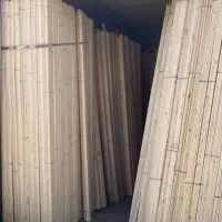 هایپر رگال مانکن محمد|فروشگاه و مغازه|قم, نیروگاه|دیوار