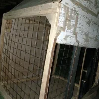 قفس پرنده فروش فوری|لوازم جانبی حیوانات|کوهین, |دیوار