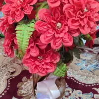 گل زیبا