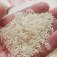 برنج خوشپخت اول نمونه رایگان ببر بپز بعد خرید کن