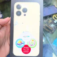 iphone 13pro|موبایل|رشت, سعدی (تختی)|دیوار