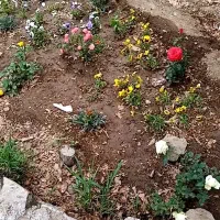 باغ ویلا اجاره ای روزانه سالانه|اجارهٔ خانه و ویلا|کاشمر, |دیوار