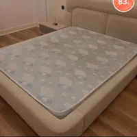 تشک طبی دو نفره رویا در حد نو