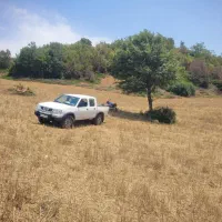 رادیاتور تایگر